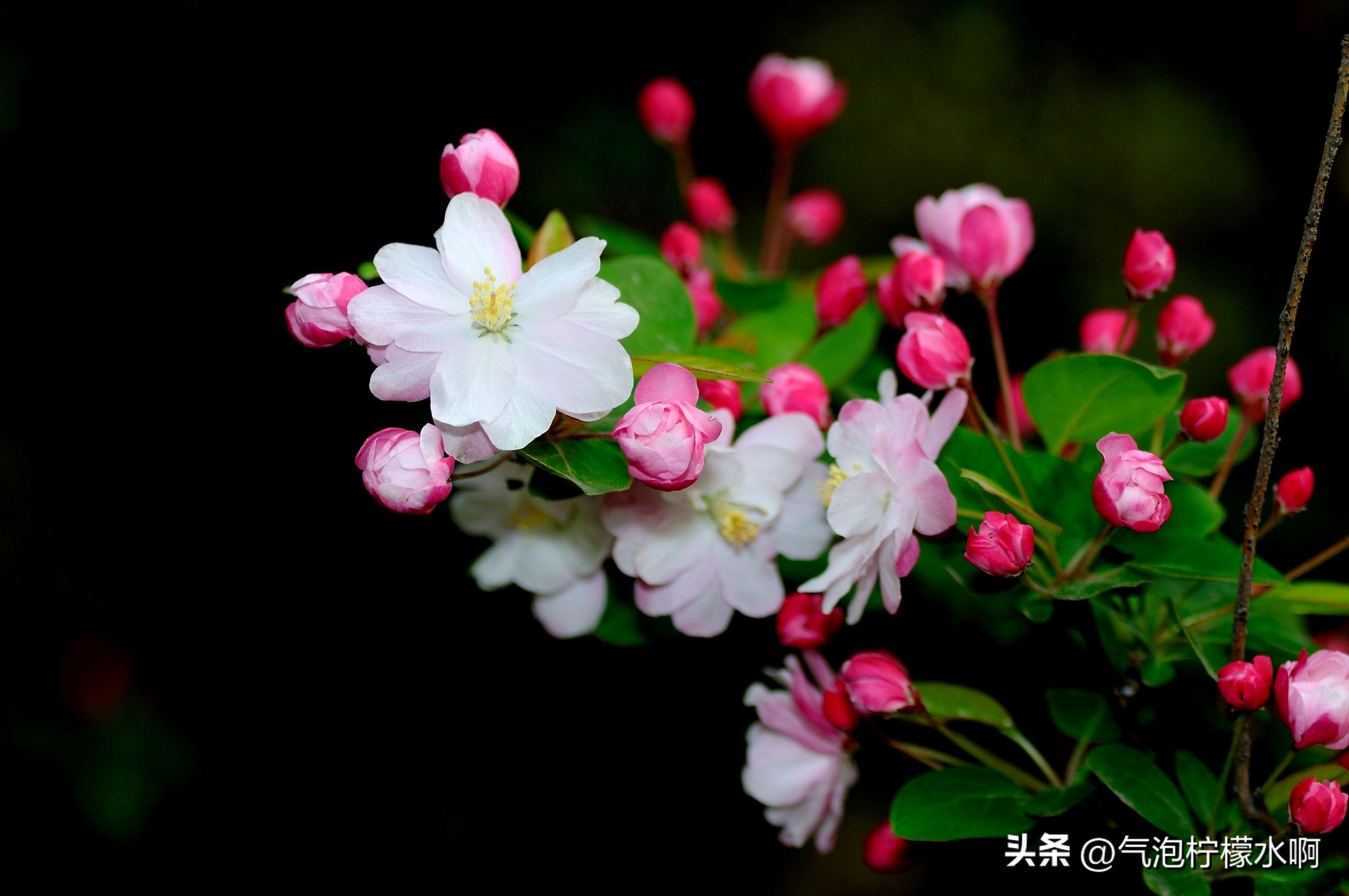 常用的方法
:生肖猴需要掌握！下个月财运旺盛，好运助你走上巅峰