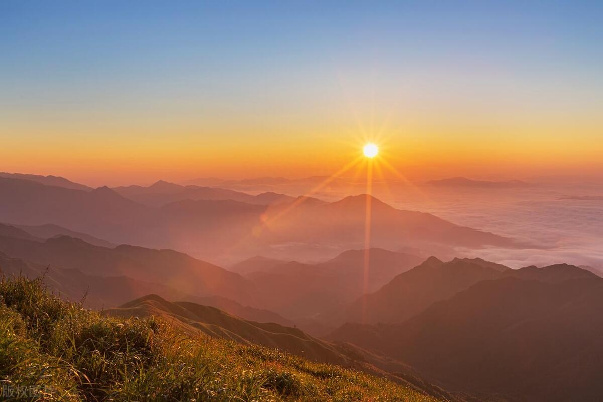 属马的狮子座 全程免费
:值得珍惜一生的五个星座！