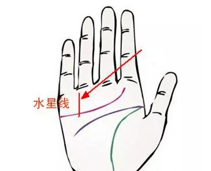 太不可思议
:手相图解 金融算命手相学 金融财富线插图