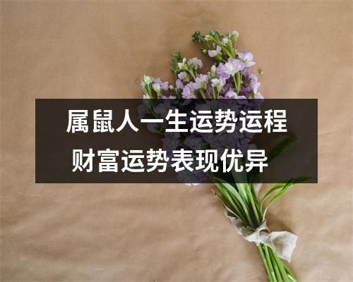 受益匪浅
:2017年属鼠人的运程