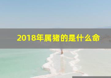 强势推荐
:2018年属猪人的运势如何？