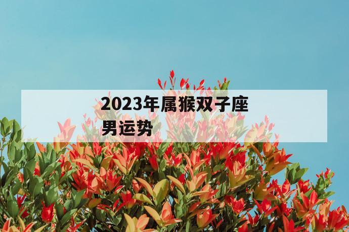 属猴双子座男性2023年运势