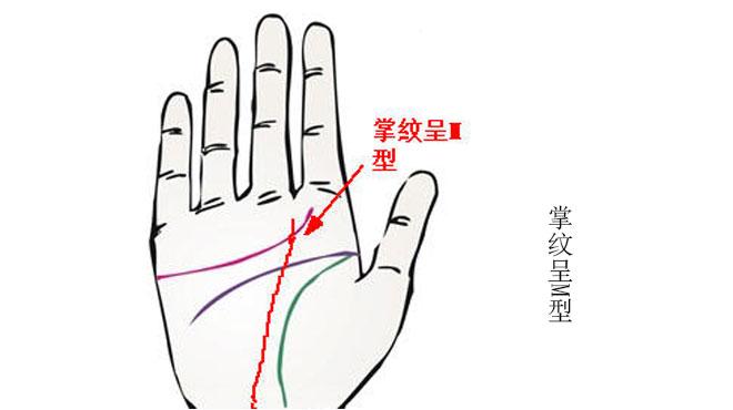 令人震撼
:拥有这种掌纹的人一生下来就拥有好运，财富充足，钱财源广进。